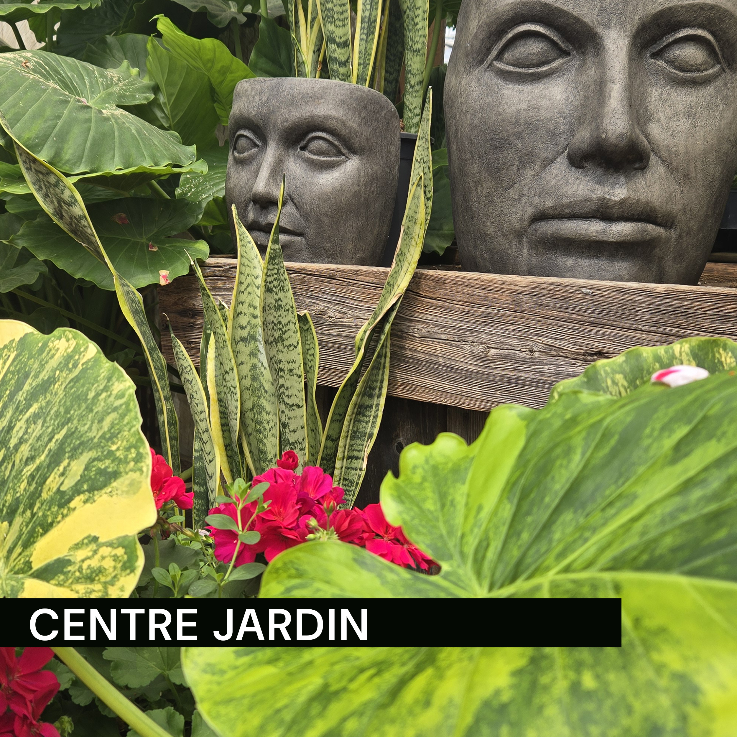 photo centre jardin, serres, pépinière
